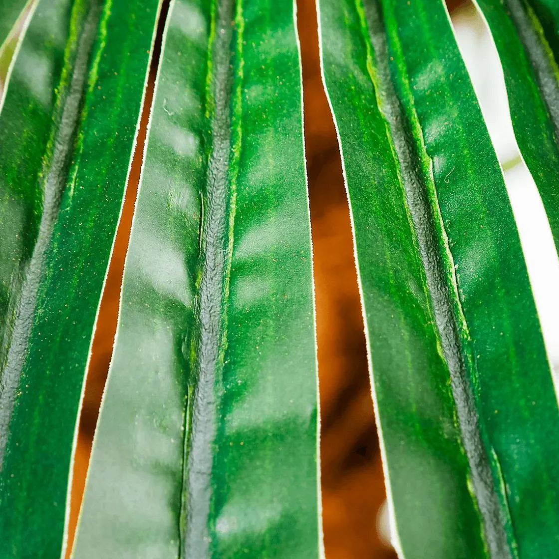 DecoWoerner Decoración De Verano|Árboles Artificiales>Palma Phoenix 180 Cm