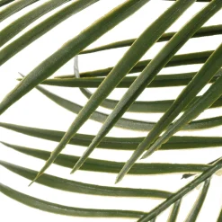 DecoWoerner Plantas Verdes|Plantas De Interior>Palmera Artificial En Maceta De 40 Cm