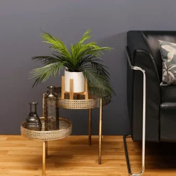 DecoWoerner Plantas Verdes|Plantas De Interior><noscript><img width=