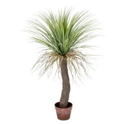 DecoWoerner Plantas De Interior>Palmera Yuca Artificial "salvaje" En Maceta 110 Cm