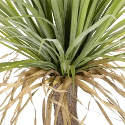 DecoWoerner Plantas De Interior>Palmera Yuca Artificial "salvaje" En Maceta 110 Cm
