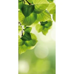 DecoWoerner Pancartas De Primavera>Pancarta De Fibra Natural Ligera Resistente A La Luz Hojas De Abedul 100 X 200 Cm
