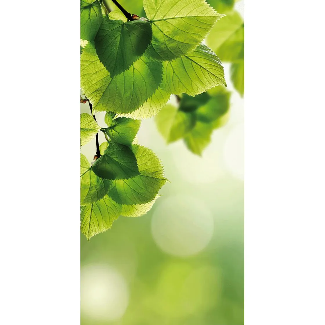 DecoWoerner Pancartas De Primavera>Pancarta De Fibra Natural Ligera Resistente A La Luz Hojas De Abedul 100 X 200 Cm