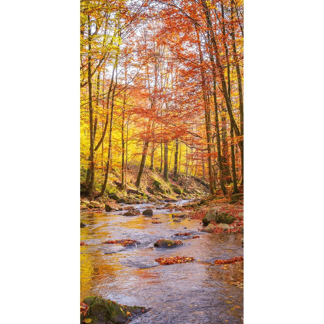 DecoWoerner Pancartas De Otoño>Pancarta De Tela Brook Autumn 100 X 200 Cm