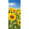 DecoWoerner Pancartas De Otoño|Pancartas De Verano>Pancarta De Tela Campo De Girasoles 75 X 180 Cm