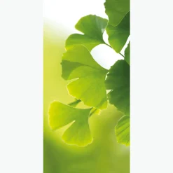 DecoWoerner Decoración Natural|Decoración De Primavera>Pancarta De Tela Ignífuga "Ginkgo" De Tela De Bandera De 100 X 200 Cm