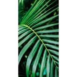 DecoWoerner Decoración De Verano|Pancartas Temáticas>Pancarta De Tela Ignífuga "Palm Frond" De Tela De Bandera 100 X 200 Cm