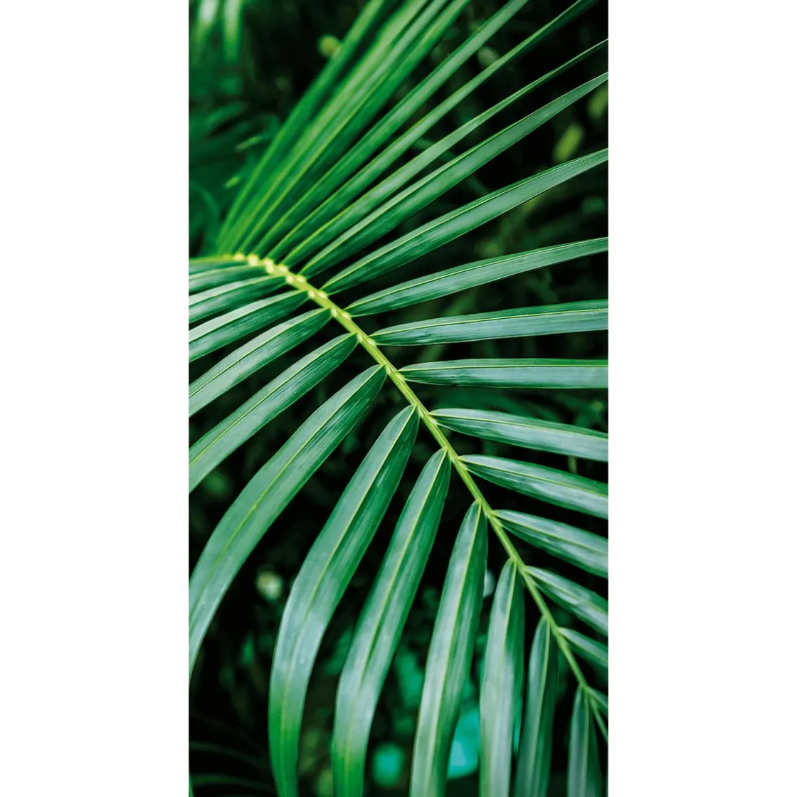 DecoWoerner Decoración De Verano|Pancartas Temáticas>Pancarta De Tela Ignífuga "Palm Frond" De Tela De Bandera 100 X 200 Cm