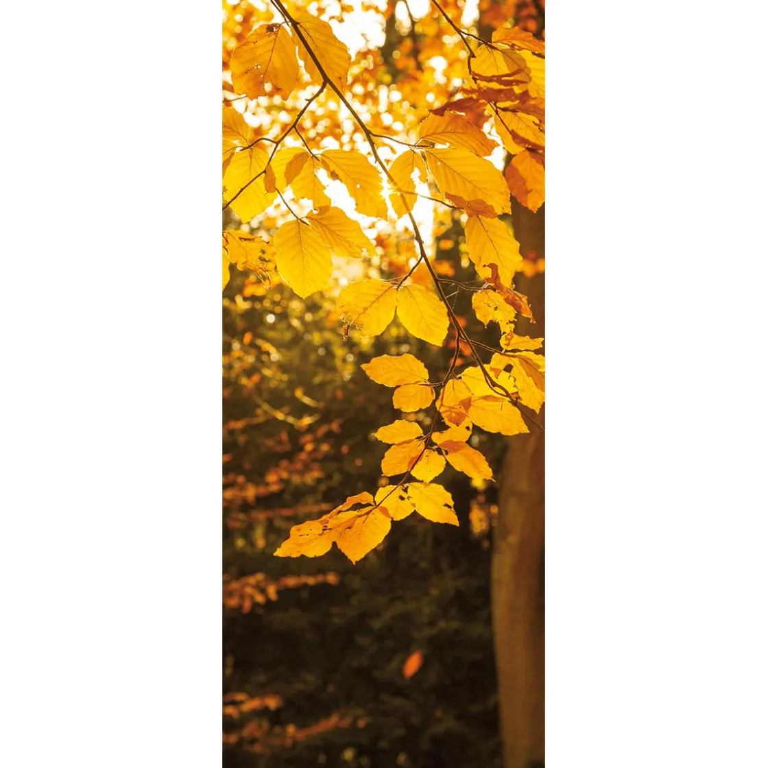 DecoWoerner Decoración De Otoño|Pancartas De Otoño>Pancarta De Tela Ignífuga "Hojas De Oro" 75 X 180 Cm