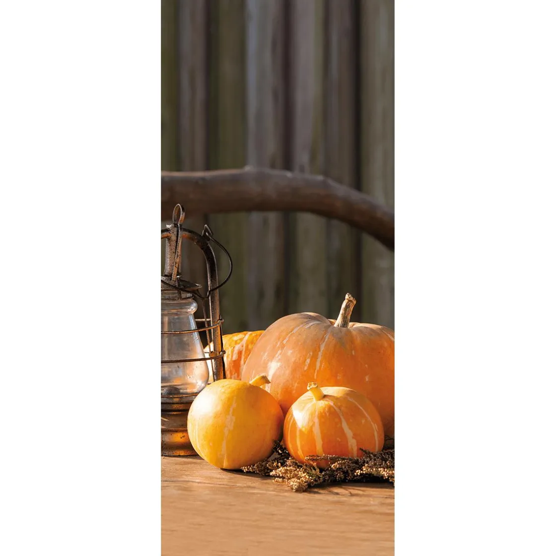 DecoWoerner Decoración De Otoño|Pancartas De Otoño>Pancarta De Tela Ignífuga "Calabaza Con Farol" De Tela De Bandera 75 X 180 Cm