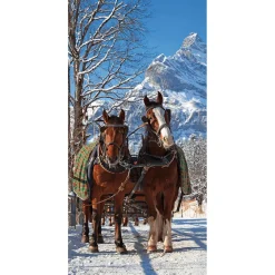 DecoWoerner Decoración De Invierno|Pancartas De Navidad E Invierno>Pancarta De Tela Ignífuga "Carro De Caballos En La Nieve" De Tela De Bandera 100 X 200 Cm
