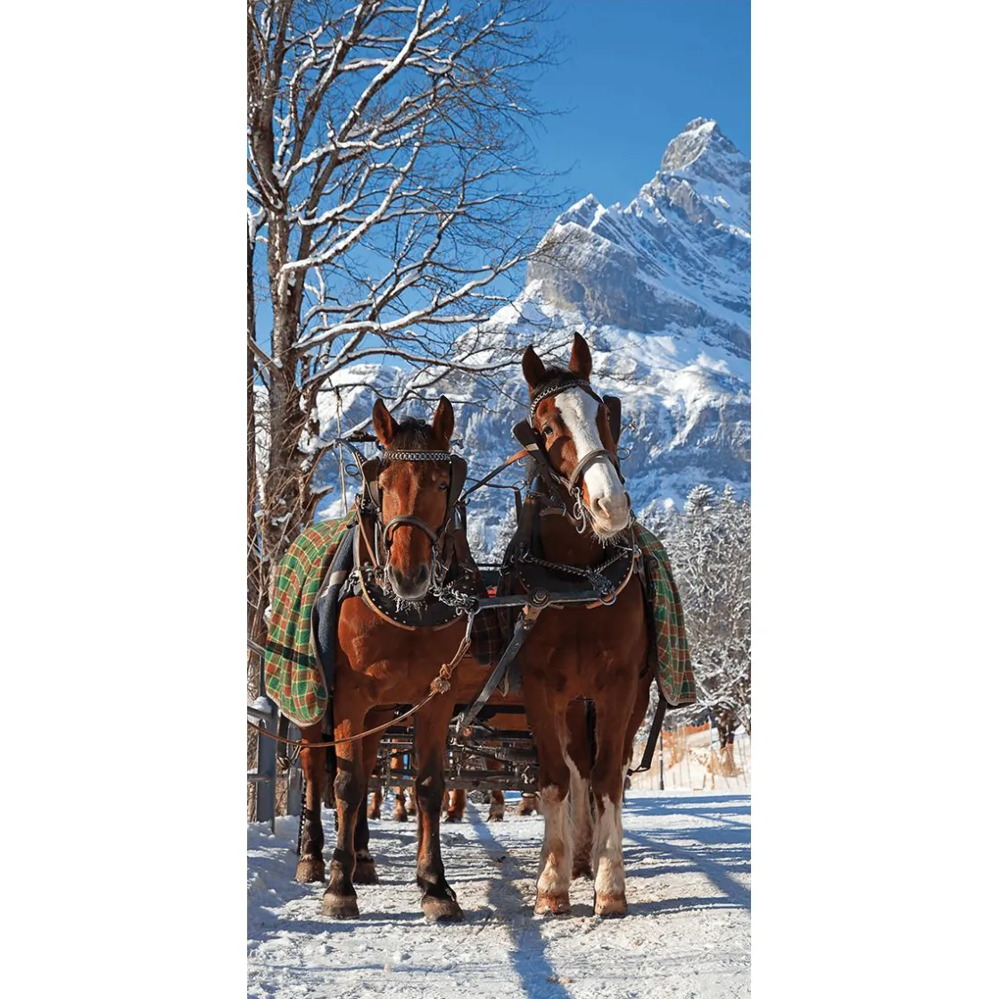DecoWoerner Decoración De Invierno|Pancartas De Navidad E Invierno>Pancarta De Tela Ignífuga "Carro De Caballos En La Nieve" De Tela De Bandera 100 X 200 Cm
