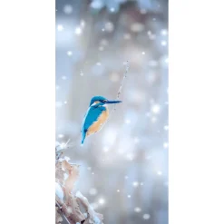 DecoWoerner Decoración De Invierno|Pancartas De Navidad E Invierno>Pancarta De Tela Ignífuga "Kingfisher" De Tela De Bandera 100 X 200 Cm
