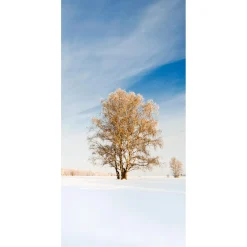 DecoWoerner Decoración De Invierno|Pancartas De Navidad E Invierno>Pancarta De Tela Ignífuga "Árbol De Invierno Dorado" De Tela De Bandera 100 X 200 Cm