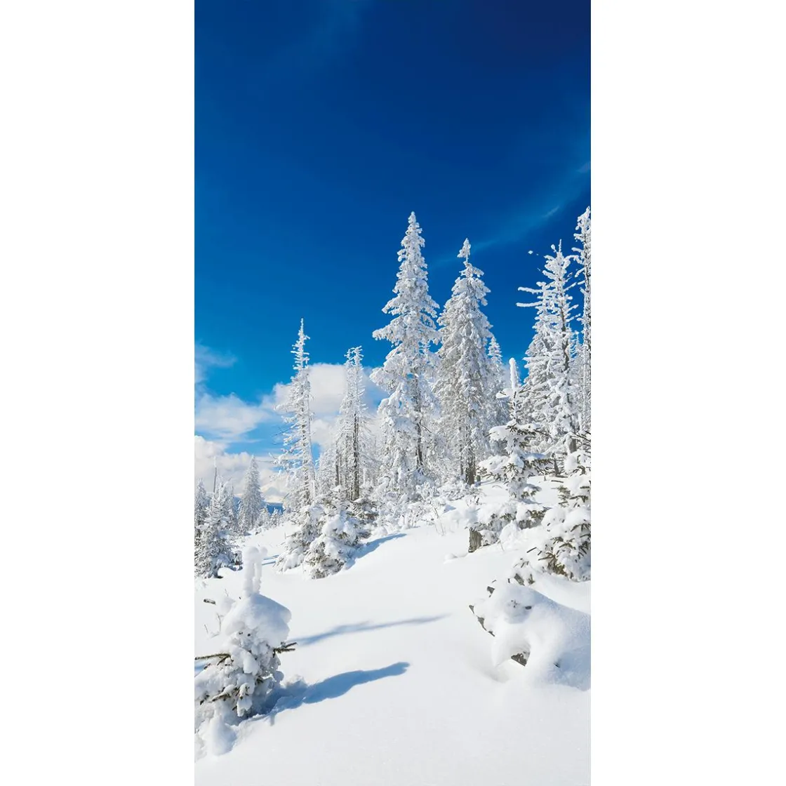 DecoWoerner Decoración De Invierno|Pancartas De Navidad E Invierno>Pancarta De Tela Ignífuga "Snowy Winter Firs" De Tela De Bandera 100 X 200 Cm