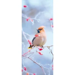 DecoWoerner Decoración De Invierno|Pancartas De Navidad E Invierno>Pancarta De Tela Ignífuga "Pájaro De Cola De Seda En Rosa Mosqueta" De Tela De Bandera 75 X 180 Cm