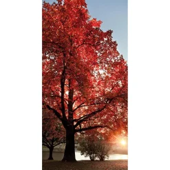 DecoWoerner Decoración De Otoño|Pancartas De Otoño>Pancarta De Tela Ignífuga "árbol De Otoño" De Tela De Bandera 100 X 200 Cm