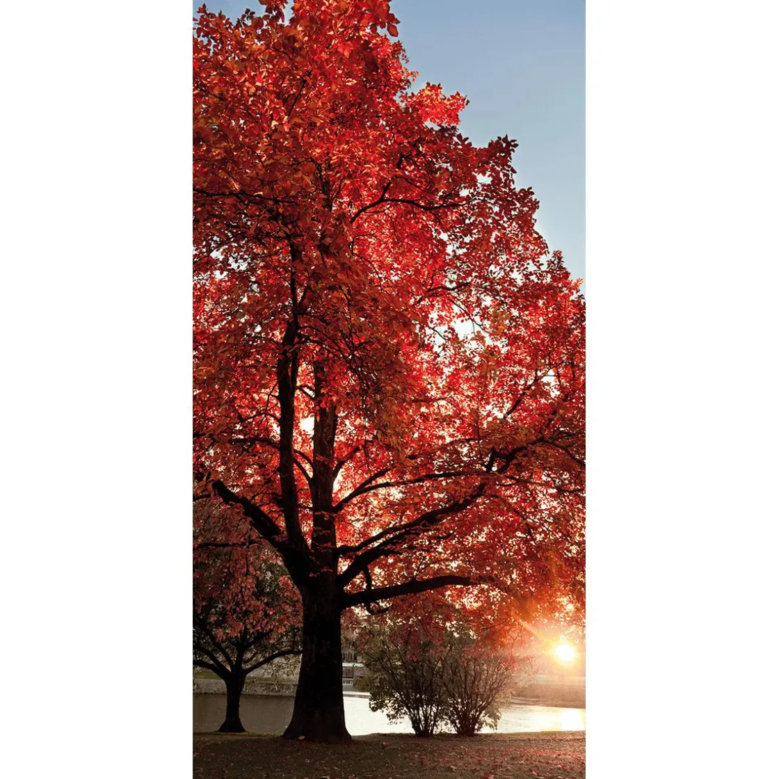 DecoWoerner Decoración De Otoño|Pancartas De Otoño>Pancarta De Tela Ignífuga "árbol De Otoño" De Tela De Bandera 100 X 200 Cm
