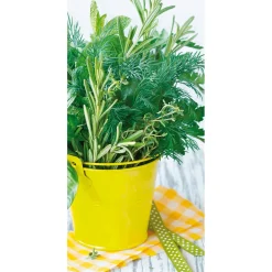 DecoWoerner Pancartas Temáticas|Pancartas De Verano>Pancarta De Tela Ignífuga "Herb Pot" De Tela De Bandera 100 X 200 Cm