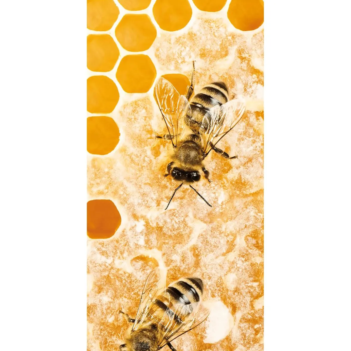 DecoWoerner Pancartas Temáticas|Pancartas De Verano>Pancarta De Tela Ignífuga "abeja Ocupada" De Tela De Bandera 100 X 200 Cm