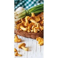 DecoWoerner Pancartas Temáticas|Pancartas De Otoño>Pancarta De Tela Ignífuga "Hongos Chanterelle" De Tela De Bandera 100 X 200 Cm
