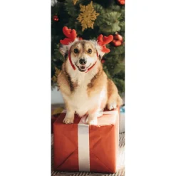 DecoWoerner Pancartas De Navidad E Invierno|Bandera De Navidad>Pancarta De Tela Ignífuga "Perro De Navidad Corgi" De Tela De Bandera 75 X 180 Cm
