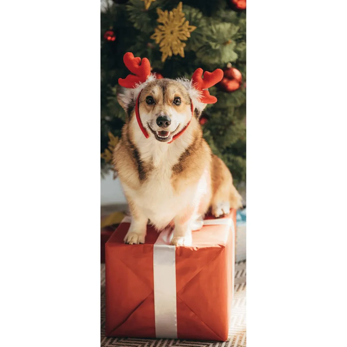 DecoWoerner Pancartas De Navidad E Invierno|Bandera De Navidad>Pancarta De Tela Ignífuga "Perro De Navidad Corgi" De Tela De Bandera 75 X 180 Cm