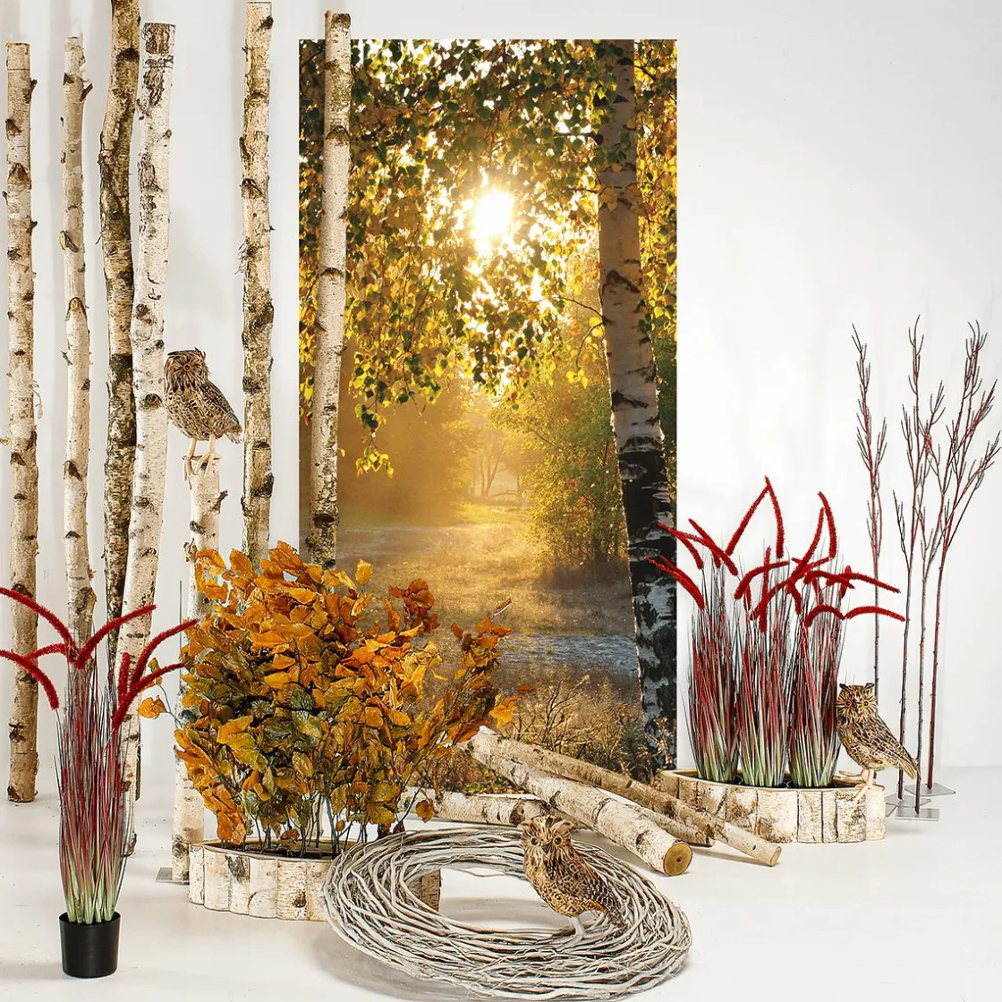 DecoWoerner Decoración De Otoño|Pancartas De Otoño>Pancarta De Tela Ignífuga "Abedules De Otoño" De Tela De Bandera 100 X 200 Cm