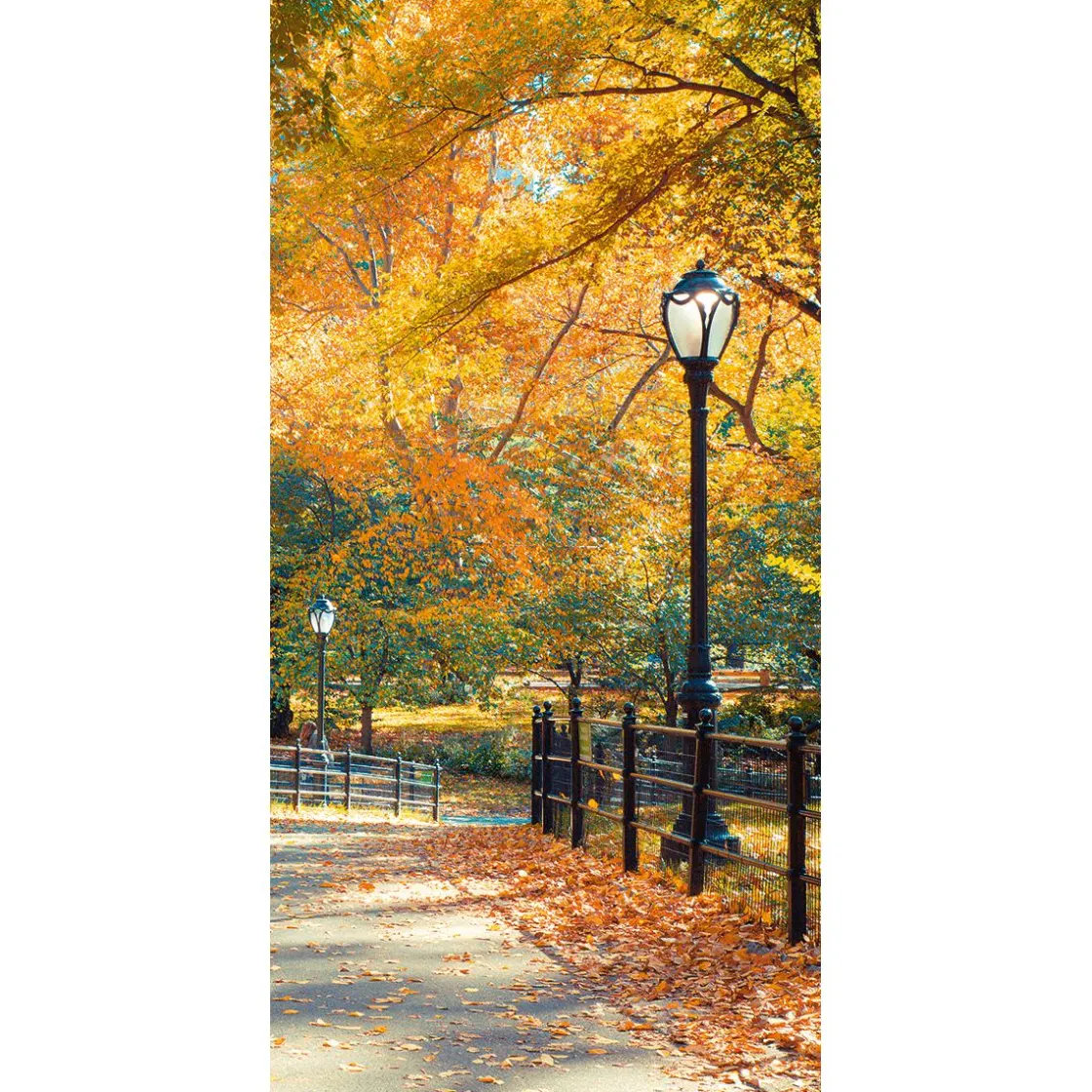 DecoWoerner Decoración De Otoño|Pancartas De Otoño>Pancarta De Tela Ignífuga "Parque De Otoño" De Tela De Bandera 100 X 200 Cm