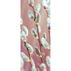 DecoWoerner Decoración De Pascua|Decoración De Primavera>Pancarta De Tela Ignífuga Palm Kitty De Tela De Bandera 75 X 180 Cm