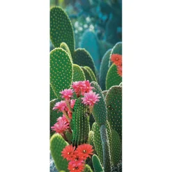 DecoWoerner Decoración De Verano|Pancartas Temáticas>Pancarta De Tela Ignífuga "Cactus En Flor" En Tela De Bandera 75 X 180 Cm