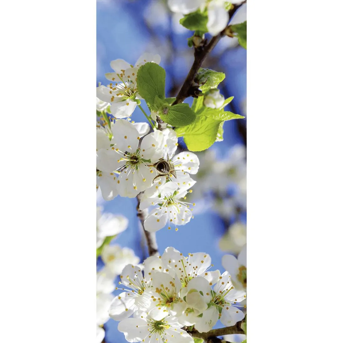 DecoWoerner Decoración De Primavera|Pancartas De Primavera>Pancarta De Tela Ignífuga "flores De Manzano Blancas Con Abeja" De Tela De Bandera 75 X 180 Cm