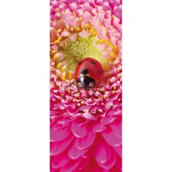 DecoWoerner Decoración De Verano|Decoración De Primavera>Pancarta De Tela Ignífuga "Mariquita Sobre Flor Rosa" De Tela De Bandera 75 X 180 Cm