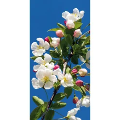 DecoWoerner Pancartas De Primavera>Pancarta De Tela Ignífuga "Rama De Manzano En Flor" De Tela De Bandera 100 X 200 Cm