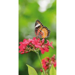 DecoWoerner Decoración De Verano|Decoración De Primavera>Pancarta De Tela Ignífuga "Mariposa Sobre Flor Roja" En Tela De Pancarta 100 X 200 Cm