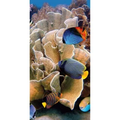 DecoWoerner Decoración De Verano|Pancartas De Verano>Pancarta De Tela Ignífuga "Arrecife Con Peces De Coral De Colores" De Tela De Bandera 100 X 200 Cm