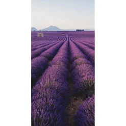DecoWoerner Decoración De Verano|Pancartas De Verano>Pancarta De Tela Ignífuga "Campo De Lavanda En Provenza" De Tela De Bandera 100 X 200 Cm
