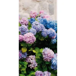 DecoWoerner Decoración De Verano|Decoración De Primavera>Pancarta De Tela Ignífuga "hortensias s, Moradas Y Azules" De Tela De Bandera 100 X 200 Cm