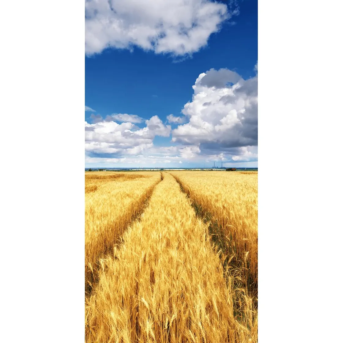 DecoWoerner Decoración Temática|Decoración De Verano>Pancarta De Tela Ignífuga "campo De Maíz Dorado Bajo Un Cielo Azul" De Tela De Bandera 100 X 200 Cm