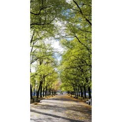 DecoWoerner Decoración De Otoño|Decoración De Verano>Pancarta De Tela Ignífuga "Avenida En El Parque" De Tela De Bandera 100 X 200 Cm