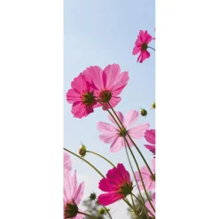 DecoWoerner Decoración De Primavera|Pancartas De Verano>Pancarta De Tela Retardante De La Llama Cosmea Tela De La Bandera 75 X 180 Cm