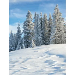 DecoWoerner Bandera Xxl|Decoración De Invierno>Pancarta De Tela XL "Bosque De Abetos Nevados" De Tela De Bandera Ignífuga 150 X 200 Cm