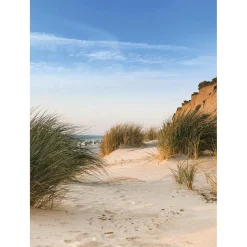DecoWoerner Pancartas De Verano|Bandera Xxl>Pancarta De Tela XL "Duna De Playa" De Tela De Bandera Ignífuga 150 X 200 Cm
