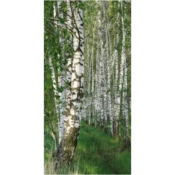 DecoWoerner Pancartas De Primavera>Pancarta Ligera De Fibra Natural "Bosque De Abedules" De Algodón 100 X 200 Cm