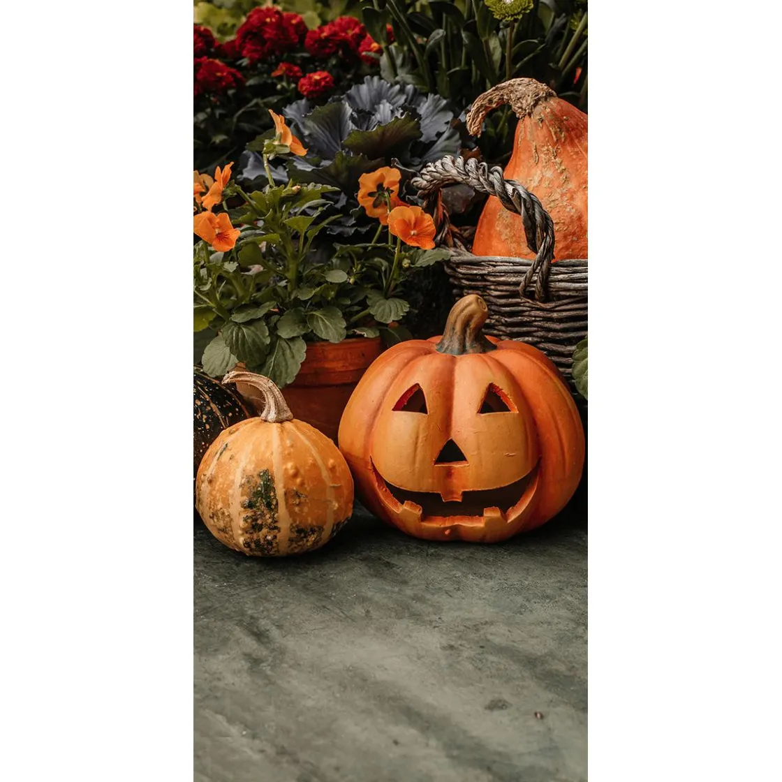 DecoWoerner Decoración Temática|Pancartas De Otoño>Pancartas De Tela Calabaza Halloween 100 X 200 Cm