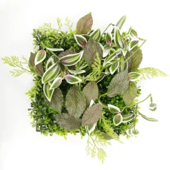 DecoWoerner Decoración De Verano|Paredes De Plantas>Panel Artificial De Arbusto De Fitonia 25 X 25 Cm