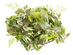 DecoWoerner Decoración De Verano|Paredes De Plantas>Panel Artificial De Arbusto De Fitonia 25 X 25 Cm