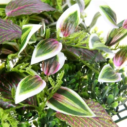 DecoWoerner Decoración De Verano|Paredes De Plantas><noscript><img width=