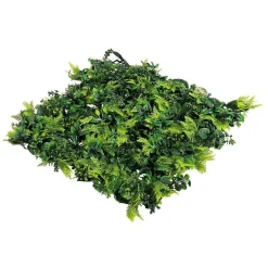 DecoWoerner Paredes De Plantas><noscript><img width=