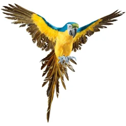 DecoWoerner Decoración De Animales|Decoración De Verano>Papagayo Decorativo -amarillo Longitud 77 Cm